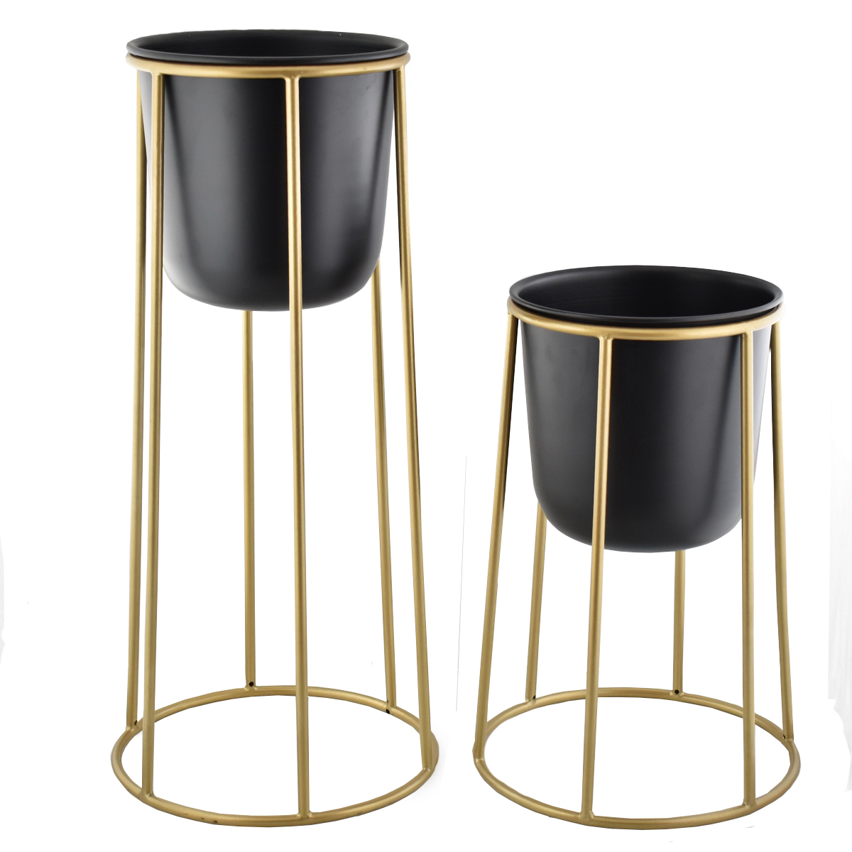 Black & Gold