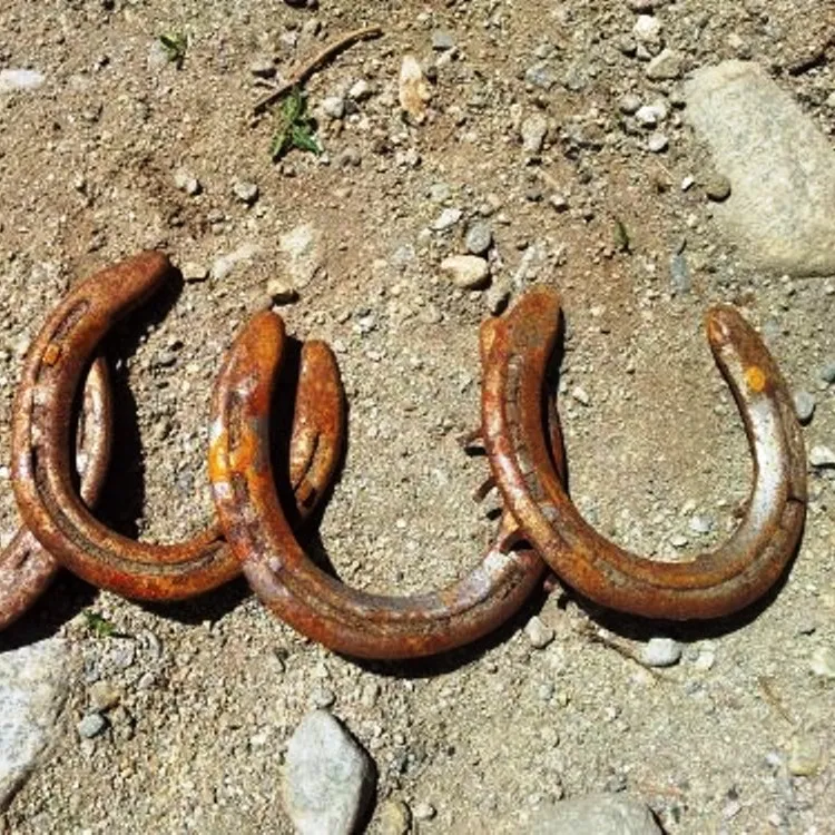 Arte rustica della decorazione della parete del metallo della decorazione d'attaccatura della parete del ferro di cavallo usata autentica all'ingrosso (indossata) per la porta esterna dell'interno