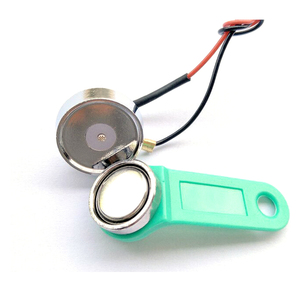 Palmare TM/carta D'IDENTITÀ duplicatore, Memoria di tocco/TM Carta iButton Programmatore - Product Image 6