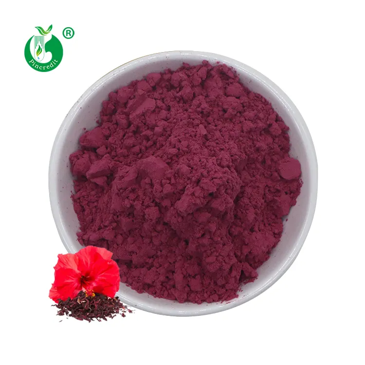 Pure Natural Organic Hibiscus Superfood Sabdariffa Flower Extract Roselle Hibiscus Powder