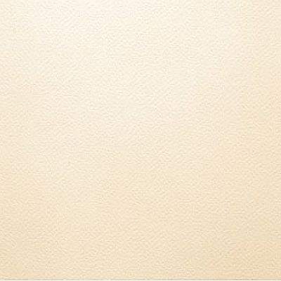 สีชมพูแซลมอน