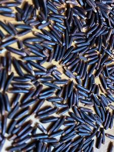 Siyah pirinç ST vietnamca pirinç sağlıklı ihracat toptan pirinç 1kg 5kg Riz Rouge Riz Arroz Rojoarroz - Product Image 2