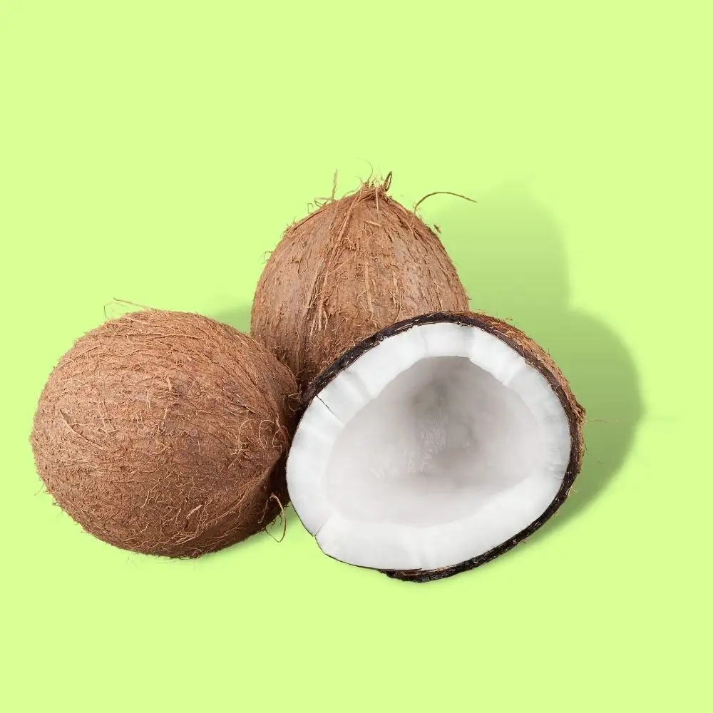 높은 지방 Desiccated 코코넛 Oem 대량 공급 인스턴트 코코넛 우유 프리미엄 베트남 신선한 코코넛 벤 Tre