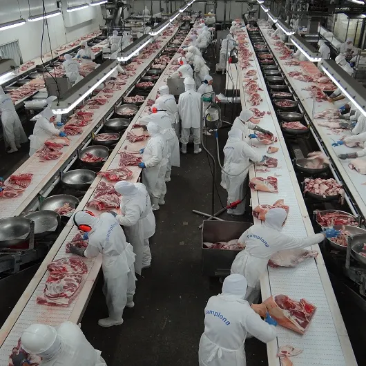 Carne de bovino congelada de alta qualidade brasileira, atacado orgânico natural de carne congelada