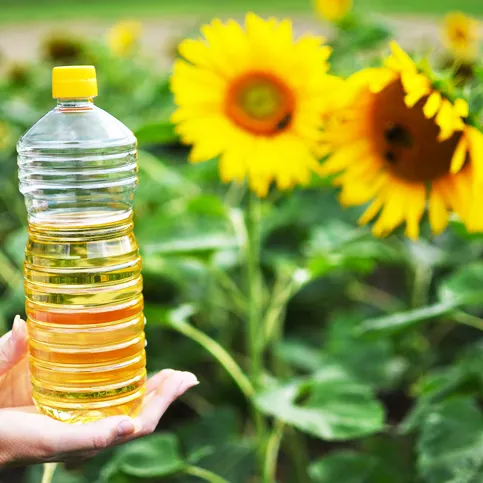 Sunflower Oil / Refined Sunflower Oil In Bulk For Sale From Thailand Cheap Price