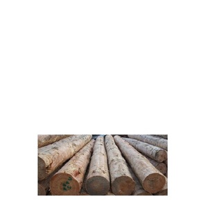 Sawn Teak Azobe günlükleri/kiraz günlükleri satılık düşük maliyetleri. - Product Image 5