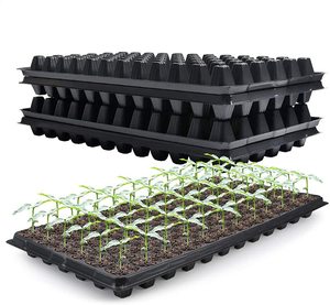 深育苗托盘200细胞塑料水培托盘种子，用于植物