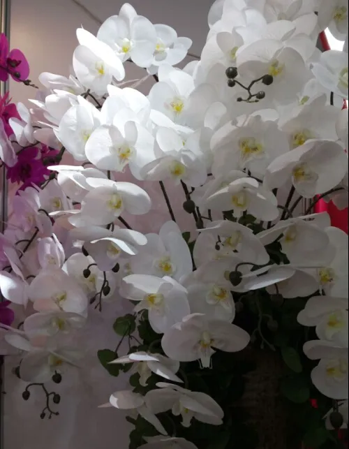 Flores de orquídea de toque real, de alta qualidade