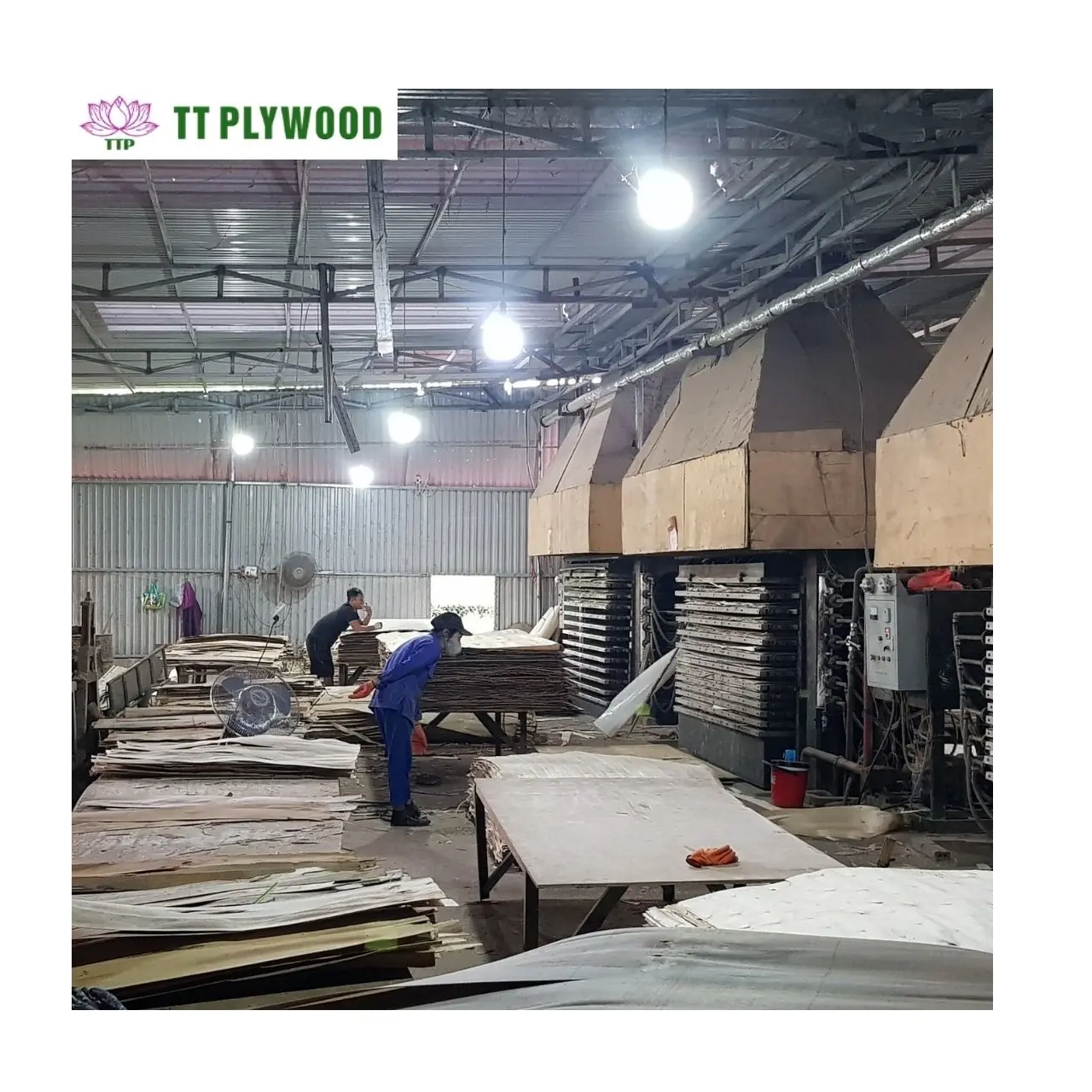 Plywood Sheet 4x8 Packaging Plywood Timber Third Class Grade Acacia Eucalyptus Industrial Packing Plywood From Vietnam