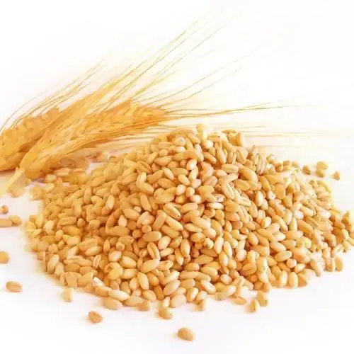 Beras de trigo de alta proteína para el invierno, toallitas de trigo de color rojo duro orgánico, de Ucrania