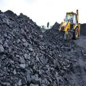Pure Coal whole Sale