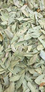 Toptancı yüksek dereceli senna bakla ve yaprakları - Product Image 4
