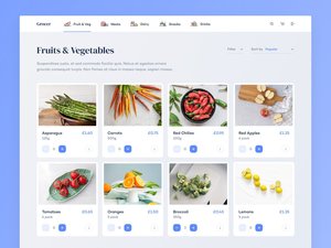 Benutzer definierte Wordpress E-Commerce-Website-Design-Entwicklung B2B Android App Mobile Software-Lösung Online Digital