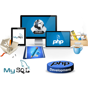 En PHP geliştiricileri hindistan | En PHP şirketleri hindistan'da | Protolabz eServices