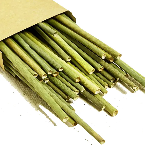 Usa e getta erba reed cannucce di bambù per il ristorante e l'hotel caldo venditore amazon 2020 ispirazione nuovo prodotto
