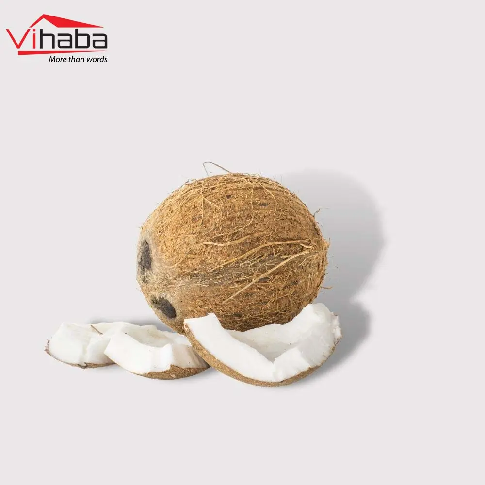 Guscio di cocco di frutta secca della bevanda della noce di cocco del grado fine della noce di cocco disidratata all'ingrosso