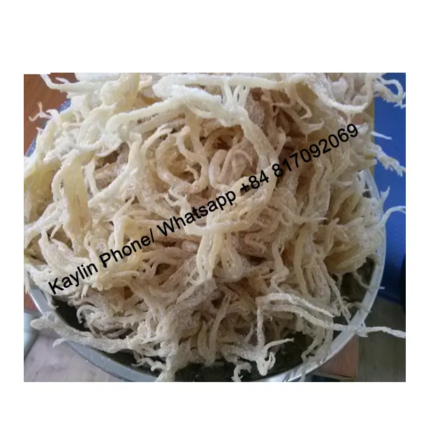 スピノサムホワイトシーモス/乾燥無塩金海藻/カラギーナン製造用Eucheuma cottonii moss 0084817092069 WS
