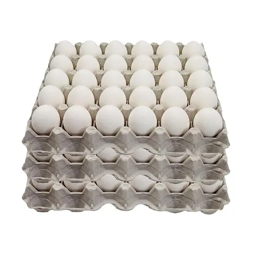 Granja de huevos de pollo frescos, venta al por mayor