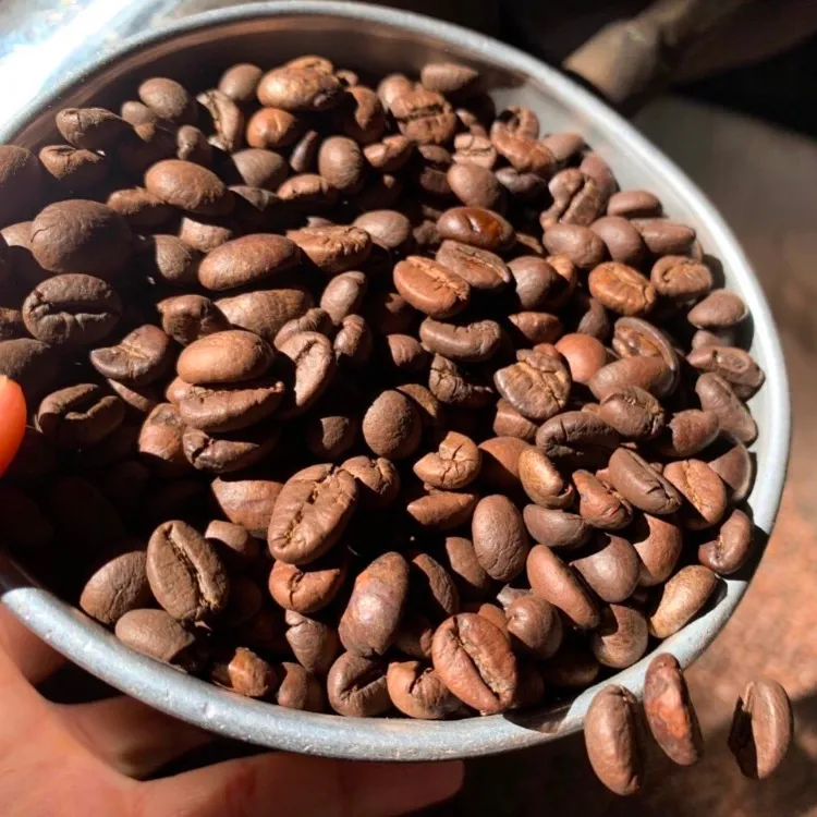 Árabica/robusta grãos de café para loja de café, etiqueta privada, bom preço-whatsapp/viber: + 84905010988