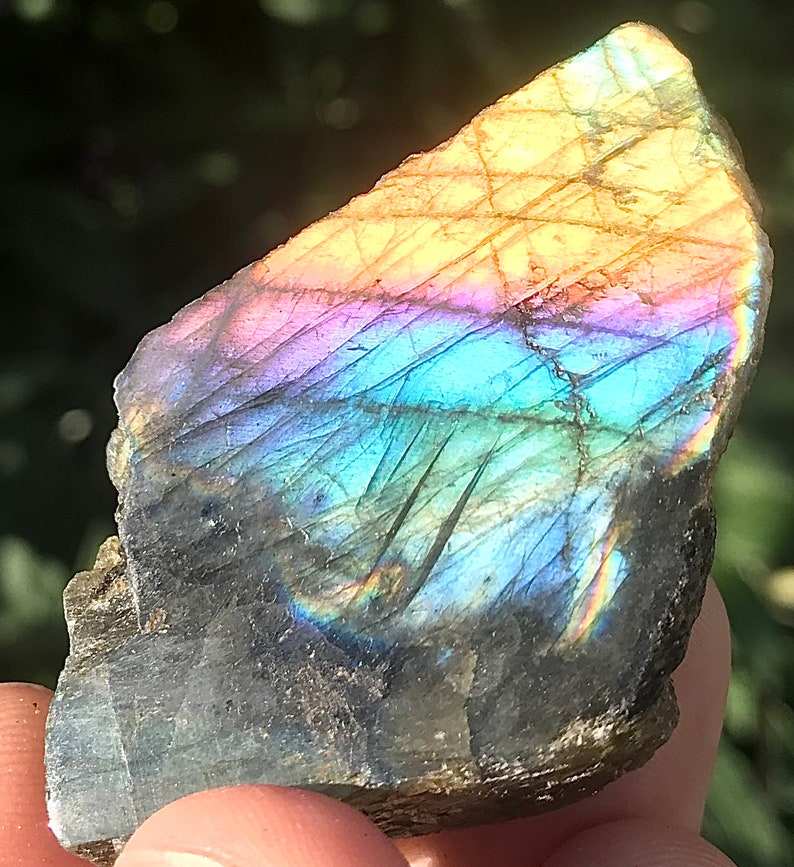 สายรุ้ง