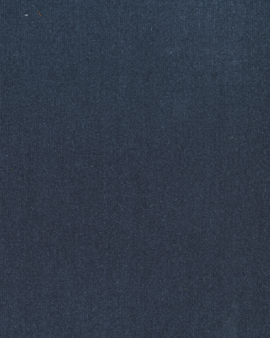 Bleu marine