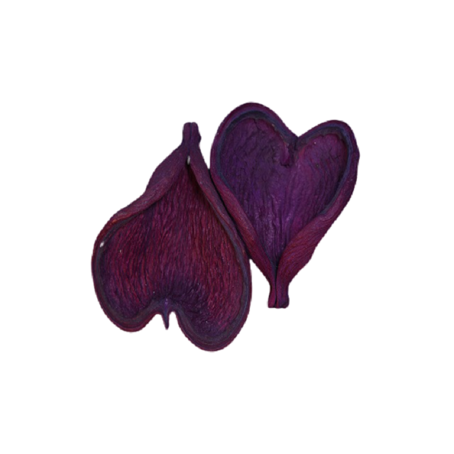 ธรรมชาติและสารพัน