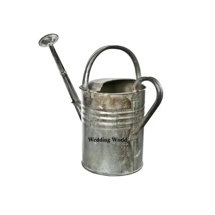 Lata de agua galvanizada de lujo, caña de riego hecha a mano de calidad superior, lata de agua de Metal decorativa con estilo clásico