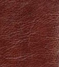 Brun foncé