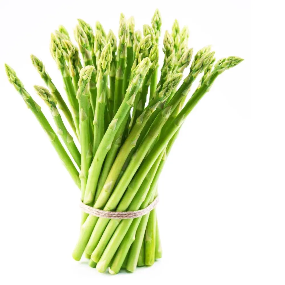 Fresh Asparagus from Vietnam