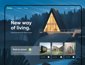 Sito web per la prenotazione di biglietti per viaggiatori Design e sviluppo Software compatibile con Mac prenotazione di biglietti Online per le ferrovie - Product Image 4