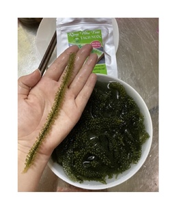 卸売天然高品質脱水海草/競争力のある価格で海藻されたブドウ (Ms. <span class=keywords><strong>Rachel</strong></span>: 84 896436456) 99ゴールドデータ