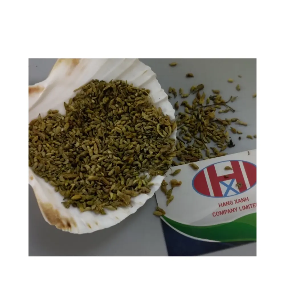 Brotes de hierbas medicinales chinas Sophora japónica, Ms.Teresa + 84971482716