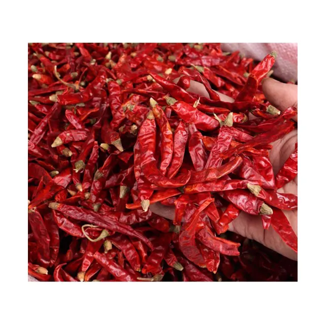 Wholesale Dried Whole Red Chilli Vietnam/ Dehydrated Hot Chili Pepper For Kitchen Spices, Sauce (Kaylin Whatsapp +84817092069)