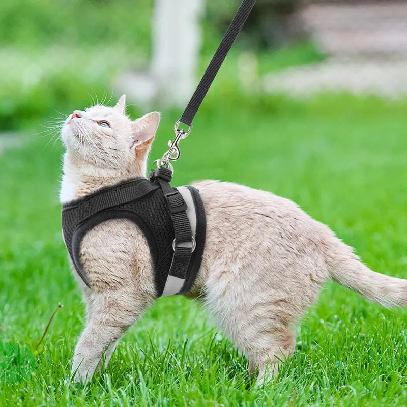 Rompi Hewan Peliharaan Reflektif Bantalan Jaring Lembut Harness Anjing Tanpa Tarik Reflektif Jaring Lembut Harness Anjing Bantalan Jaring Grosir Harness Anjing Hewan Peliharaan