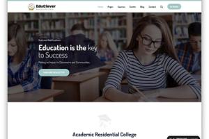 Anpassbare PHP-Websites | Und Entwicklung mobiler Apps mit erstaunlichem Design | Online-Shopping-Website