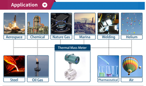 <strong>Insertion</strong> <strong>Pulse</strong> <strong>Output</strong> <strong>Flowmeter</strong> Gas Flow Controllers Thermal Gas Mass Flow Meter Oxygen Thermal Gas Mass Flow Meter - Product Image 4