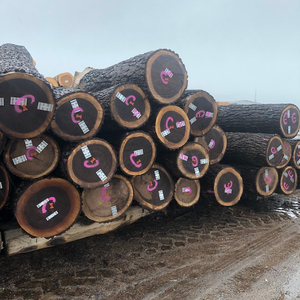 Walnut/ Cherry/ <strong>Ash</strong> Saw <strong>Logs</strong>, 30+ cm