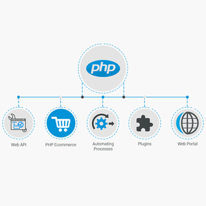 PHP Web ve uygulama hizmetleri | Hire PHP geliştiricileri hindistan | Protolabz eServices