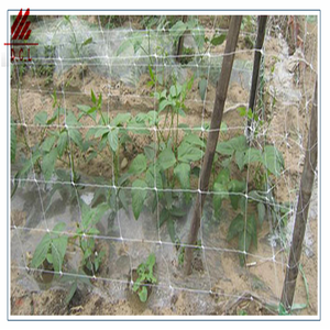 Rete a traliccio mi double scrog grid mesh 5x30 ft (circa 15.2x7.2 m) poliestere resistente bianco - Product Image 4