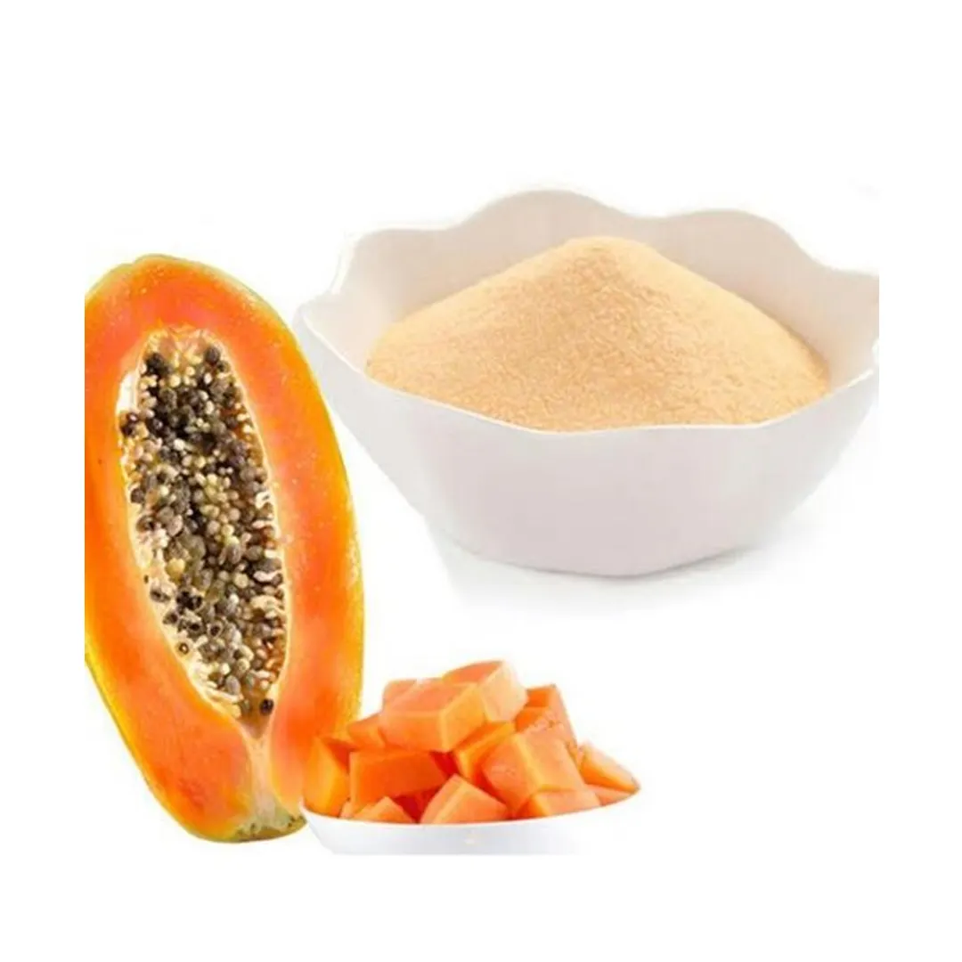 100% poudre de feuille de papaye biologique pure qualité assurer extrait de plantes indien Papita Patta Power (poudre d'extrait de feuille de papaye)