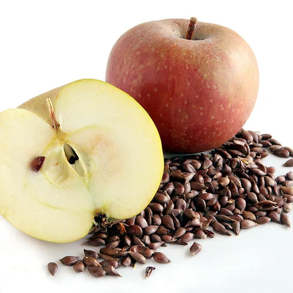 Aceite portador de semillas de manzana para el refuerzo de la piel, aceite de semilla de manzana orgánico, suministro a granel