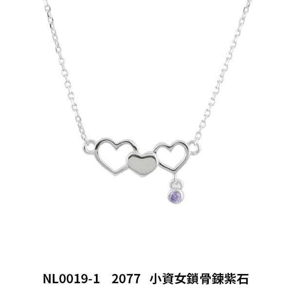 NL0019-1 Purple