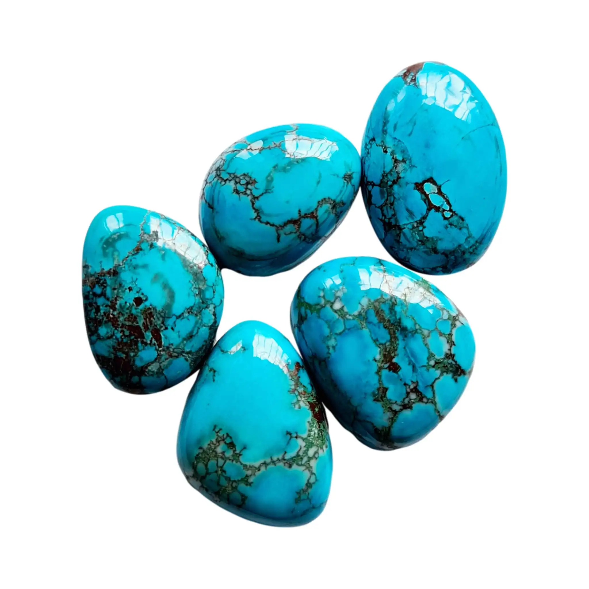 Cabochon di pietre preziose turchesi naturali con matrice. Cabochon a forma libera di colore blu brillante.