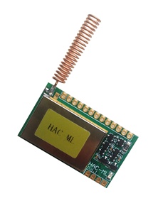 LoRa/LoRaWan-Modul für IOT Smart Wasserzähler/Gaszähler kann kunden spezifisches Modul