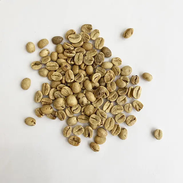 Hot sales green coffee beans robusta raw coffe beans arabica green coffee bean