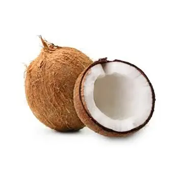 SEMI descascarillado de coco de VIETNAM con el mejor precio estándar de Exportación/Rachel: + 84896436456