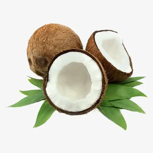 Organic Extra Food Grade Coconut Oil Wholesale Refined Coconut Oil From India Export