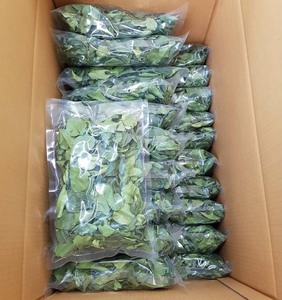 100% PURE DRIED LEMON LEAVES - DRIED LIME LEAVES HIGH QUALITY FROM VIETNAM// <strong>Rachel</strong>: +84896436456 - Product Image 5