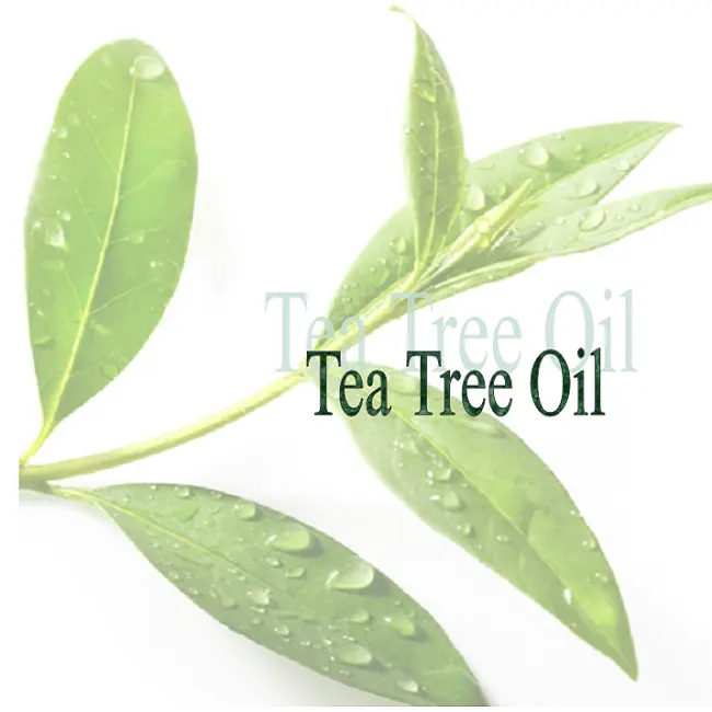 All Purpose Cleaner Tea Tree oil