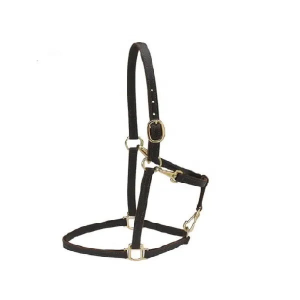 Best Quality Leather Horse Halter Available In Many Colors For Horse Riding Use Manufacturer